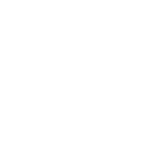 pf-292f8656--Roots